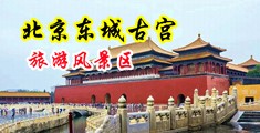 黑人孕妇操大鸡鸡中国北京-东城古宫旅游风景区